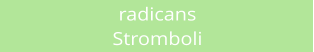 radicans Stromboli