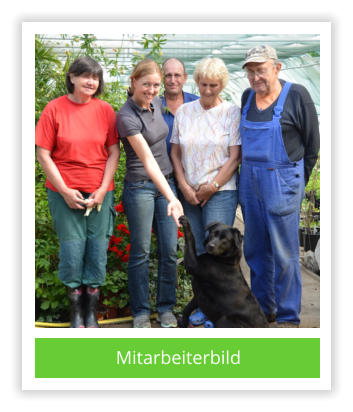 Mitarbeiterbild