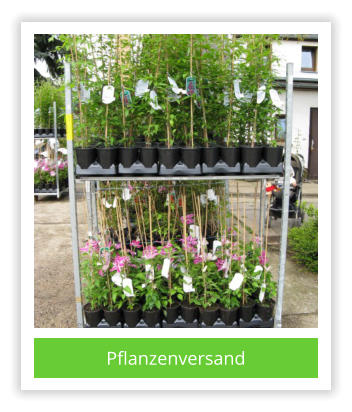 Pflanzenversand