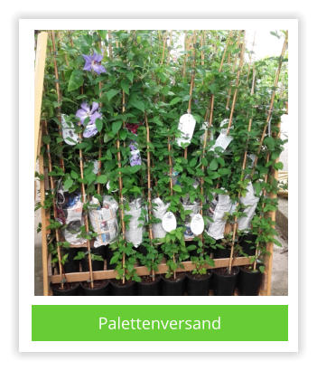 Palettenversand