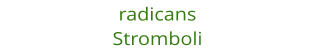 radicans Stromboli