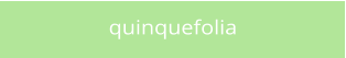 quinquefolia