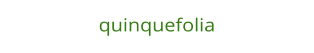 quinquefolia
