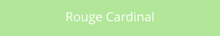Rouge Cardinal