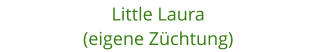 Little Laura (eigene Zchtung)