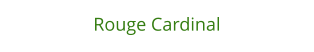 Rouge Cardinal