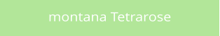 montana Tetrarose