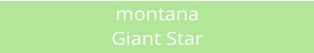 montana Giant Star