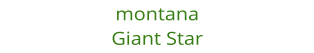 montana Giant Star
