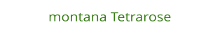 montana Tetrarose