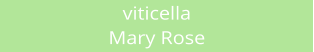 viticella Mary Rose