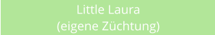 Little Laura (eigene Z�chtung)