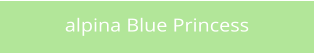 alpina Blue Princess
